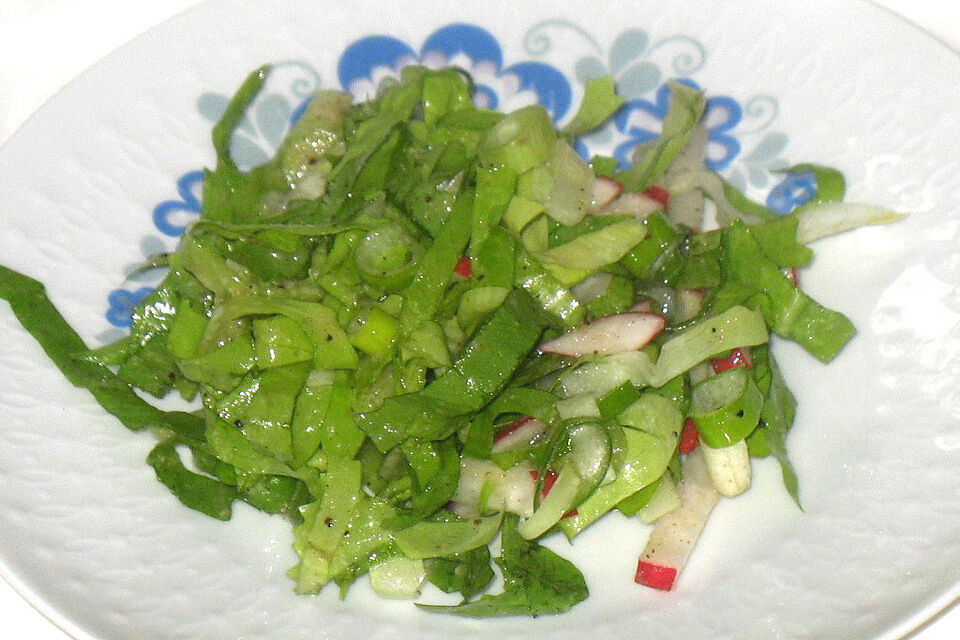 Endiviensalat