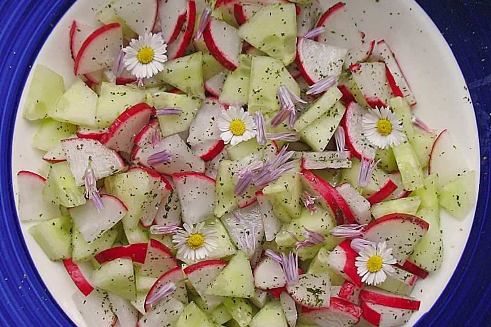 Gurken-Radieschen-Salat