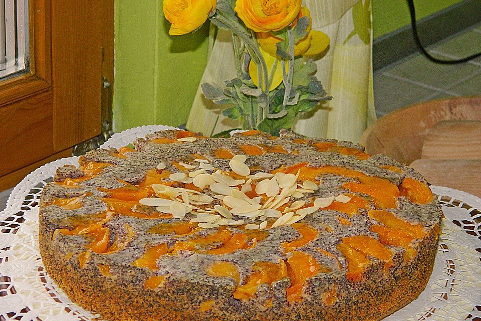 Waldviertler Marillenkuchen (Aprikosenkuchen)