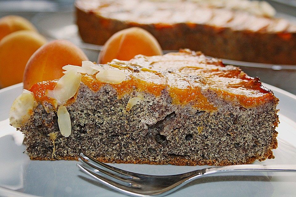 Waldviertler Marillenkuchen (Aprikosenkuchen)