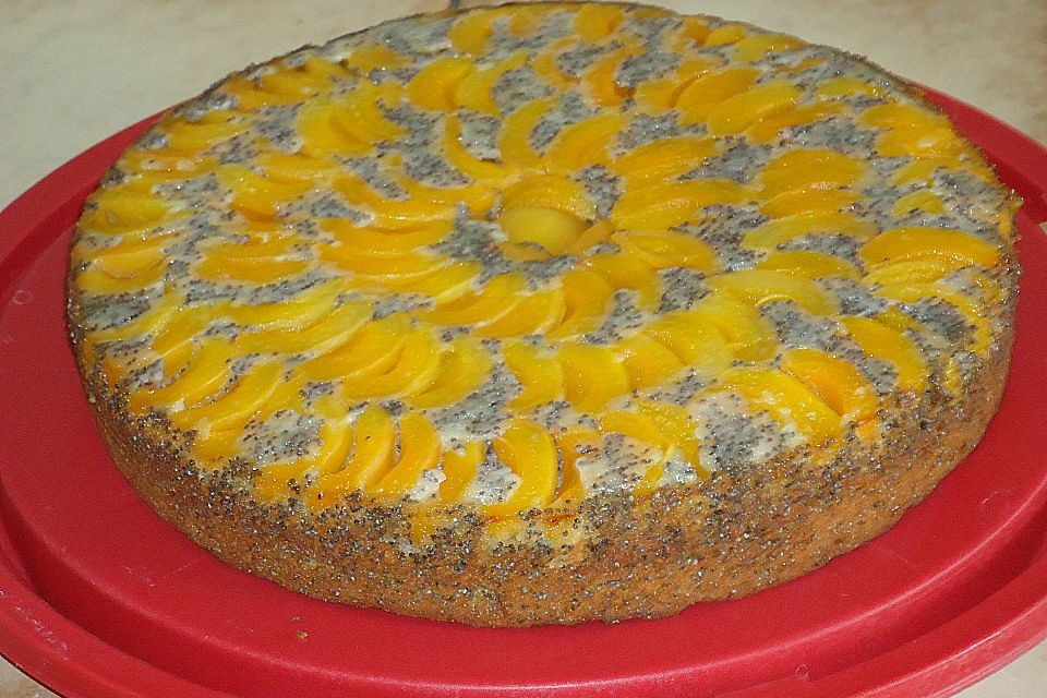 Waldviertler Marillenkuchen (Aprikosenkuchen)