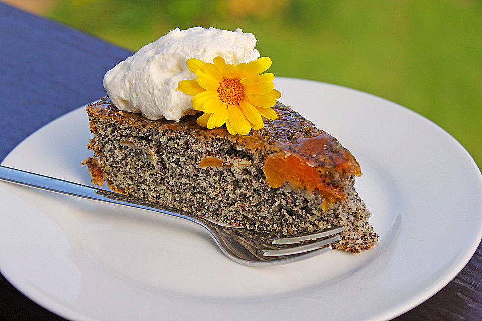 Waldviertler Marillenkuchen (Aprikosenkuchen)