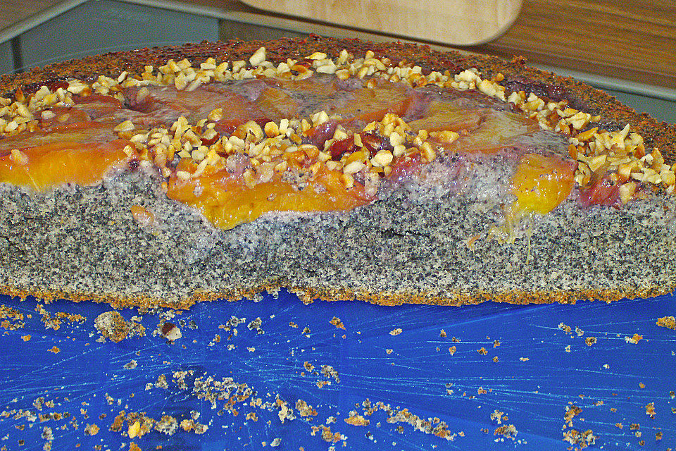 Waldviertler Marillenkuchen (Aprikosenkuchen)