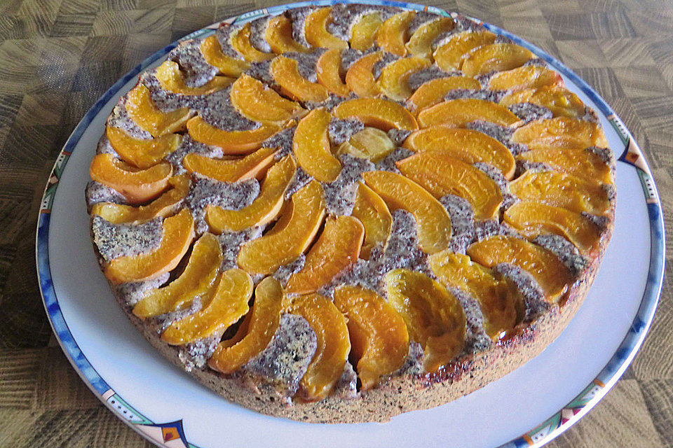 Waldviertler Marillenkuchen (Aprikosenkuchen)