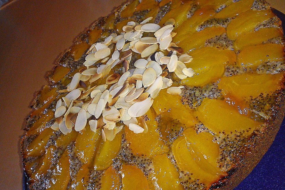 Waldviertler Marillenkuchen (Aprikosenkuchen)