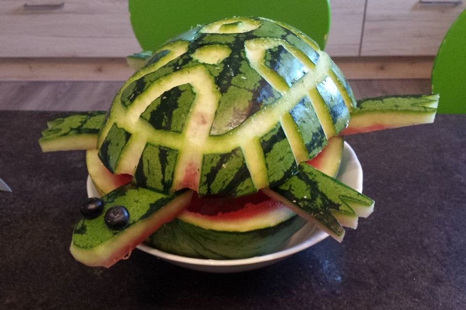 Melonen-Schildkröte