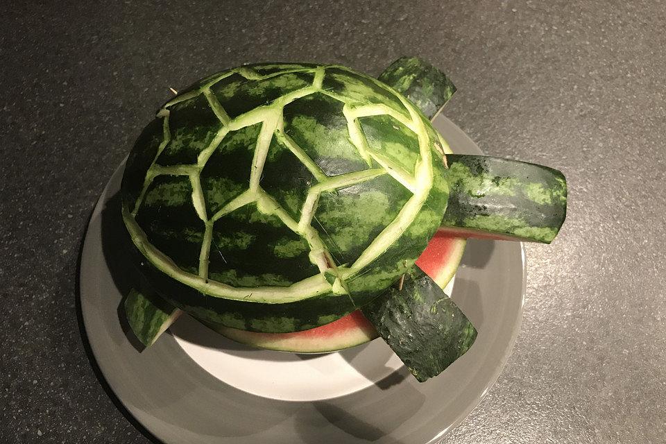 Melonen-Schildkröte