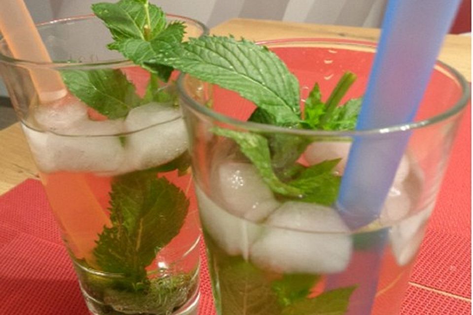 Hajos Mojito