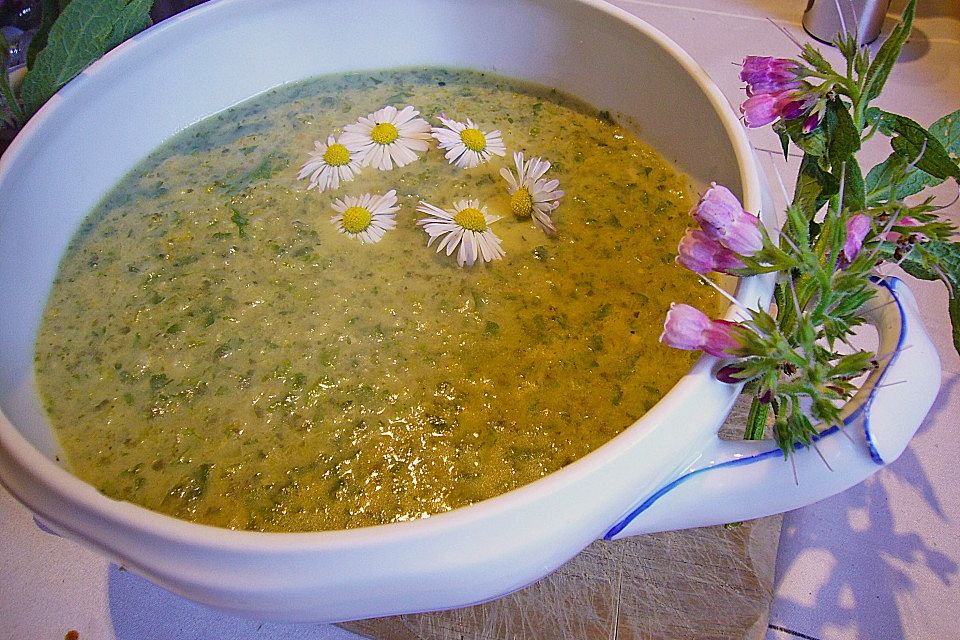 Comfrey - Kräutersuppe