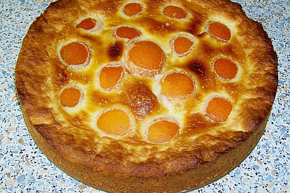 Apricot - Honey - Pie