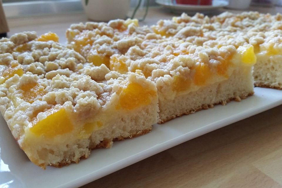 Aprikosen-Vanillecreme-Streusel Blechkuchen