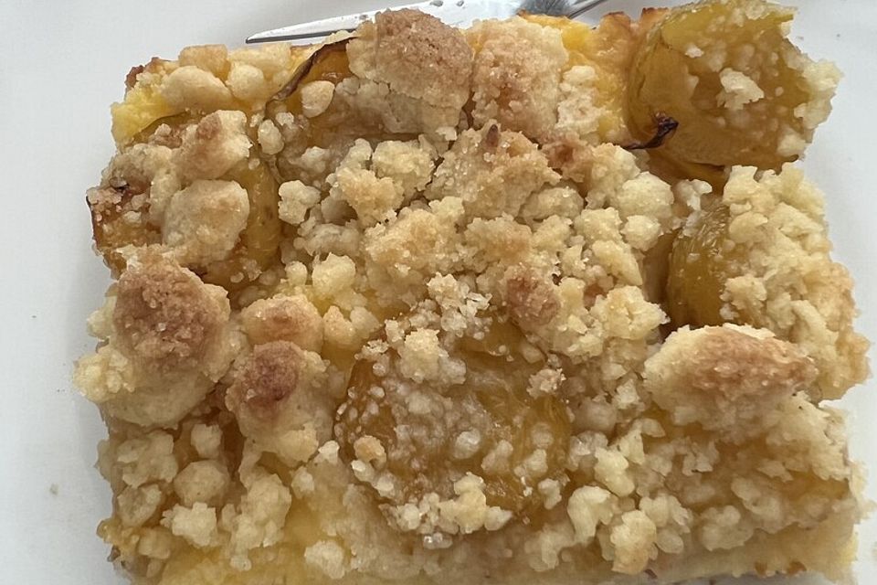 Aprikosen-Vanillecreme-Streusel Blechkuchen