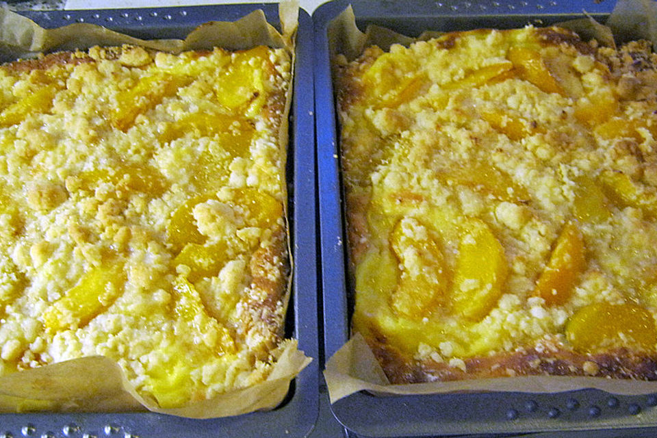 Aprikosen-Vanillecreme-Streusel Blechkuchen