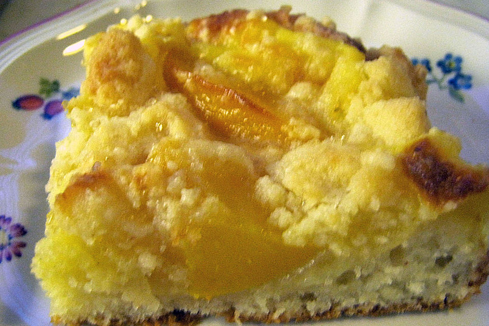 Aprikosen-Vanillecreme-Streusel Blechkuchen