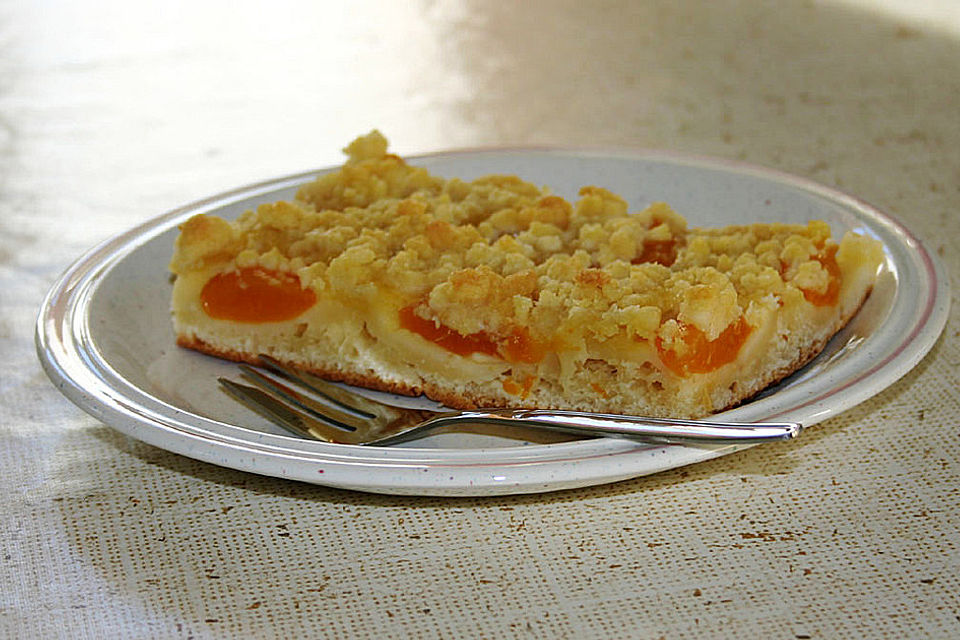 Aprikosen-Vanillecreme-Streusel Blechkuchen