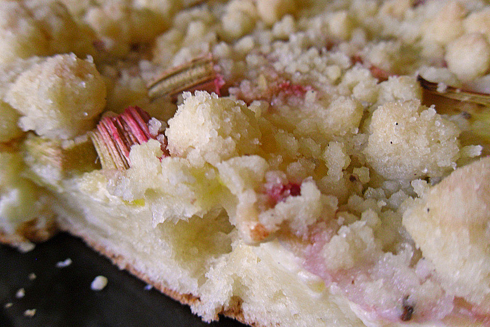 Aprikosen-Vanillecreme-Streusel Blechkuchen