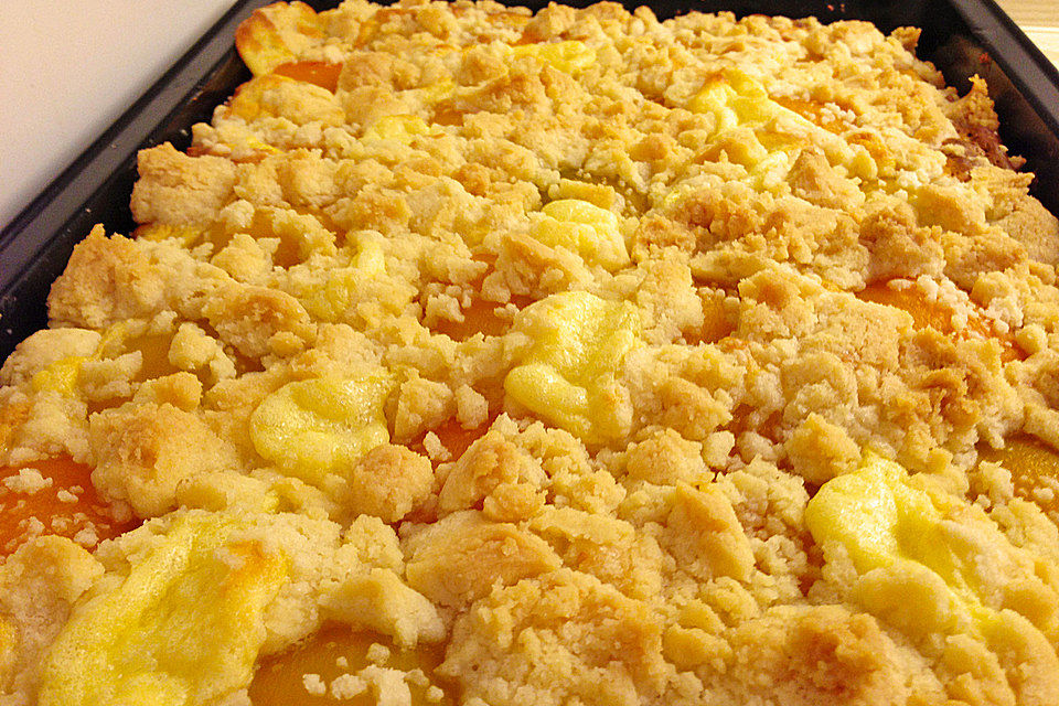 Aprikosen-Vanillecreme-Streusel Blechkuchen