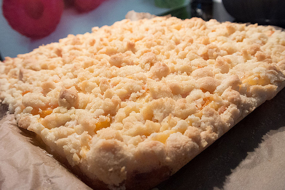 Aprikosen-Vanillecreme-Streusel Blechkuchen