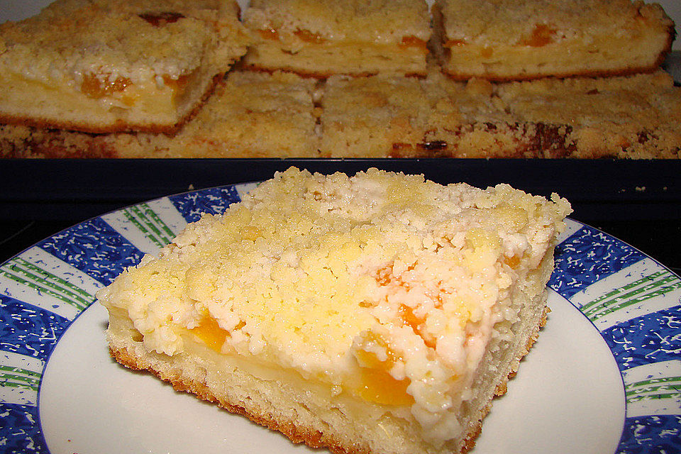 Aprikosen-Vanillecreme-Streusel Blechkuchen