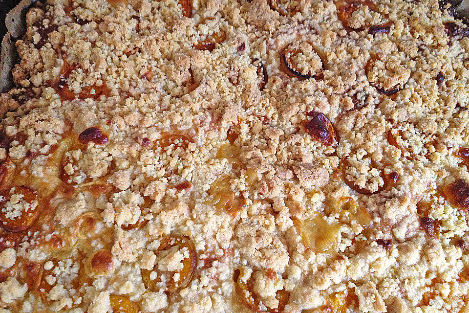 Aprikosen-Vanillecreme-Streusel Blechkuchen