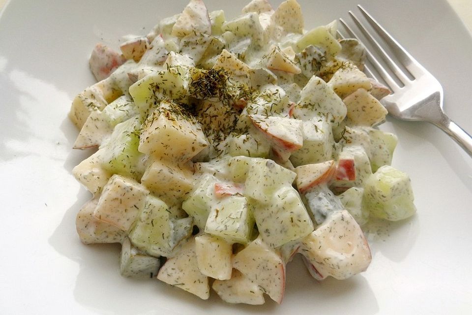 Holländischer Gurkensalat