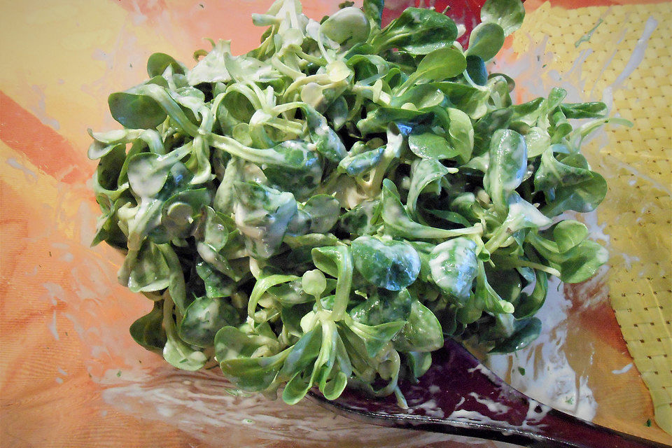 Feldsalat mit Sauerrahm-Dressing