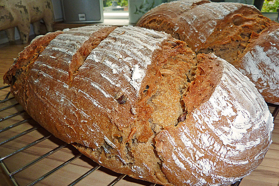 Delfinas Vital-Kern-Brot