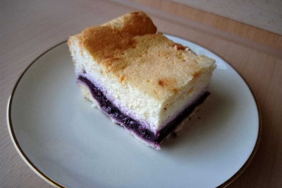 Käse-Blaubeer-Kuchen