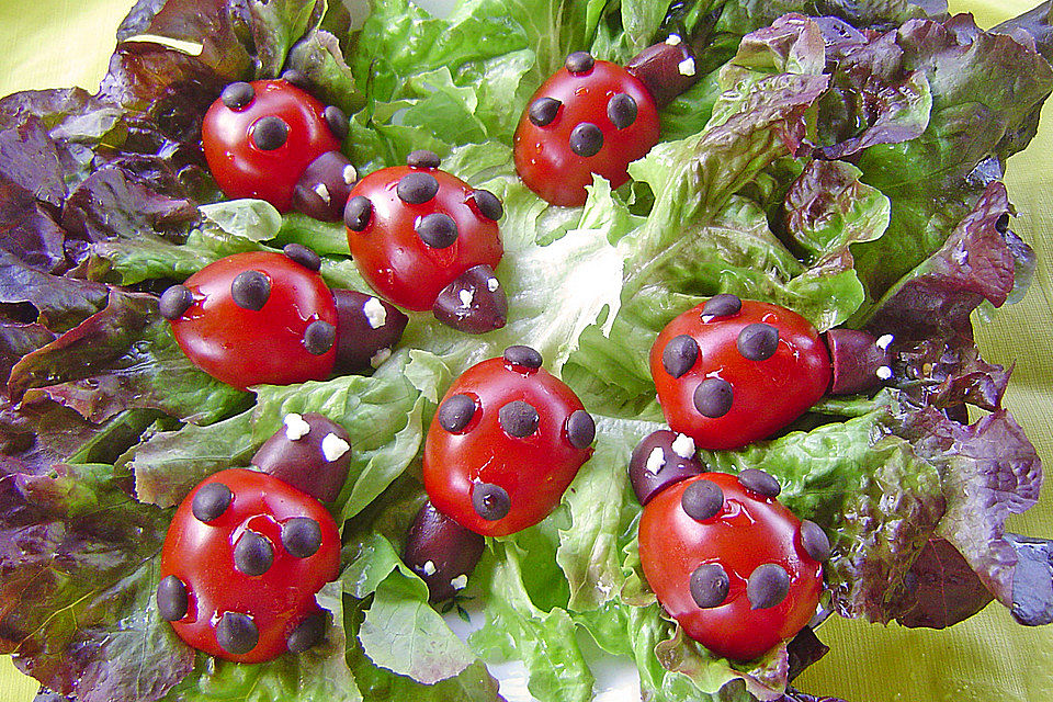 Tomaten-Marienkäfer