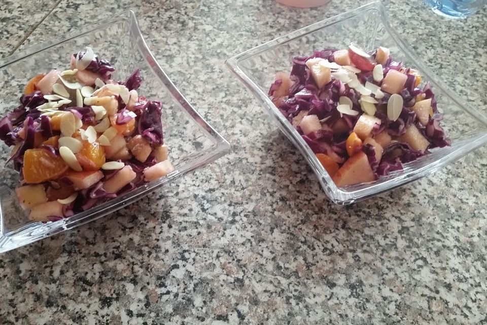 Rotkohl - Früchte - Salat (Rohkost)