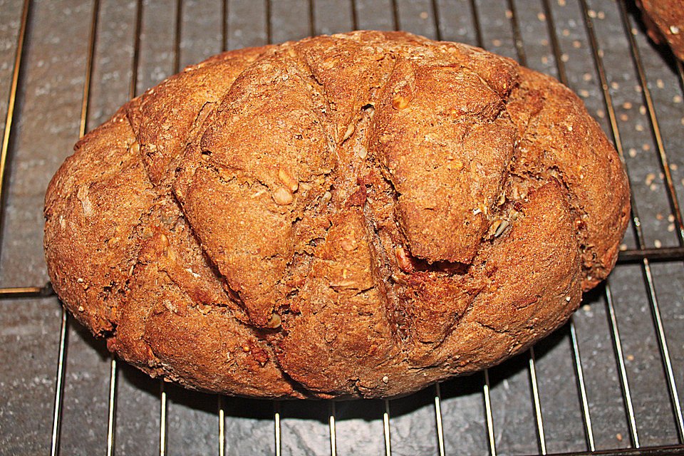 Delfinas Schrot-Flocken-Brot