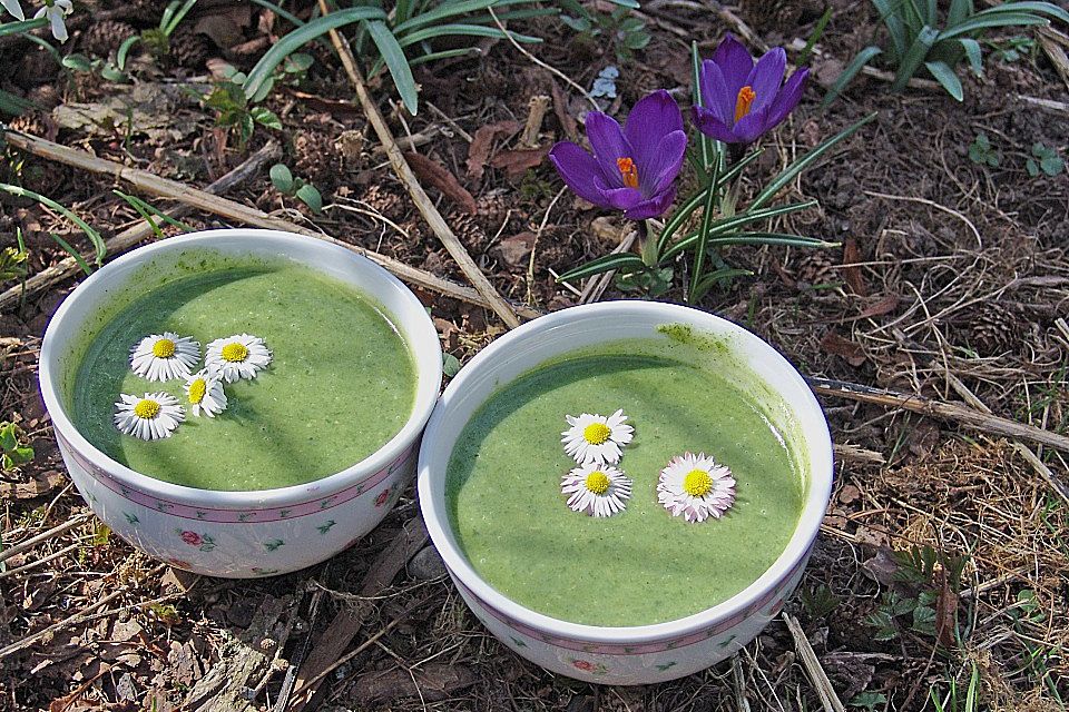 Frühlingssuppe