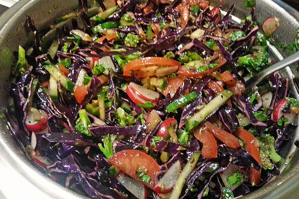 Rotkohl-Gemüse-Salat