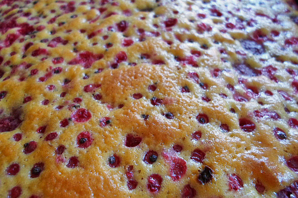 Schneller Beerenkuchen oder Obstkuchen