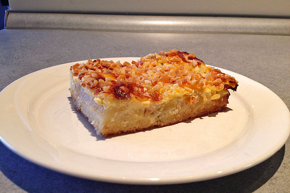 Apfelkuchen mit Cranberries