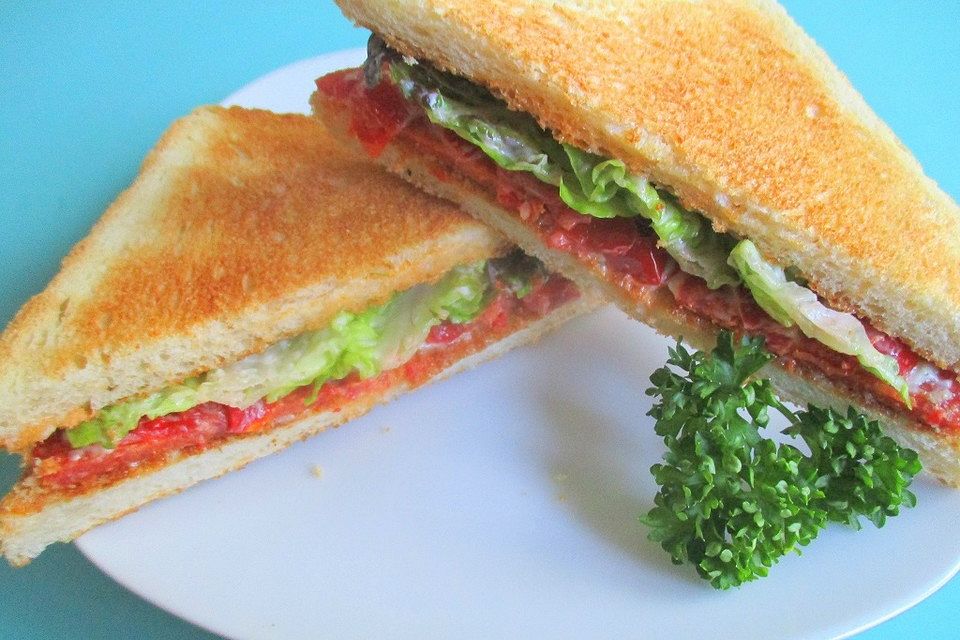 Fruchtiges Salami-Sandwich