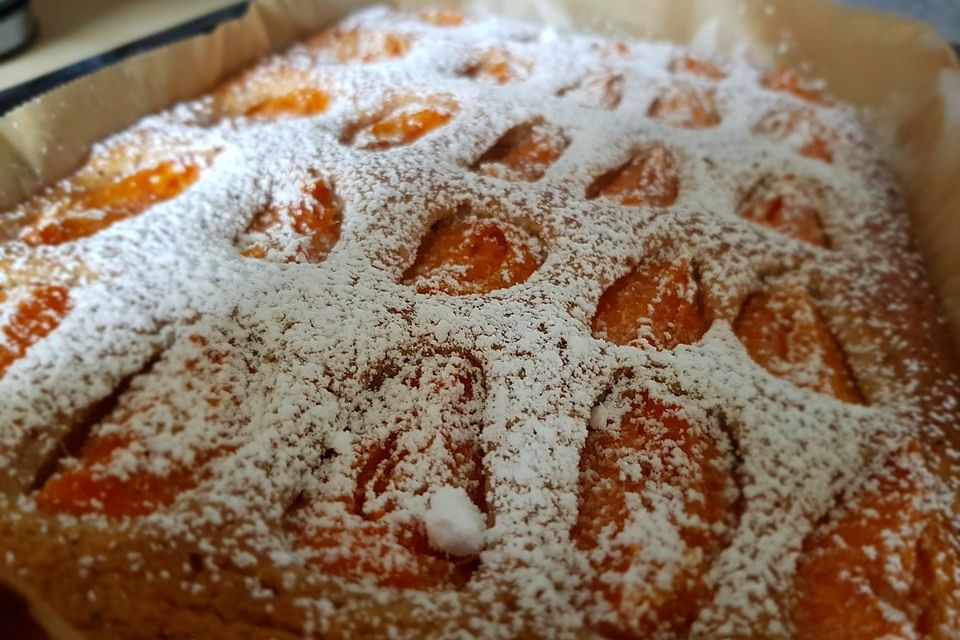 Marillenkuchen mit Ölteig