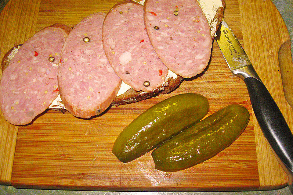 Kochsalami