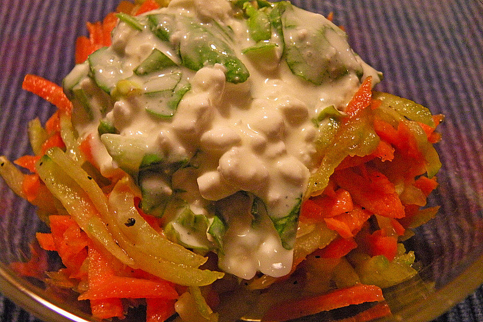 Möhren-Gurken-Salat