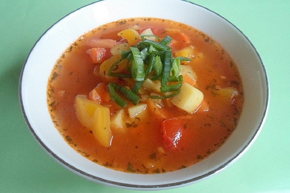 Pikante rote Gemüsesuppe