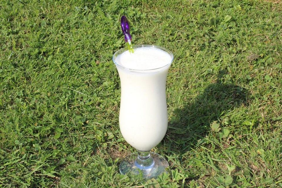 Vitaminreiche Joghurt-Bananenmilch