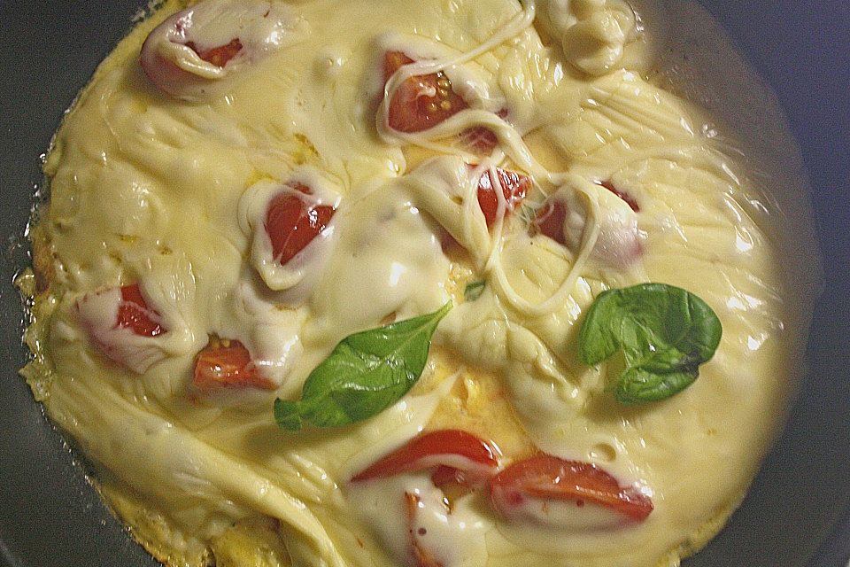 Käse-Omelette