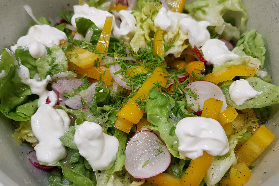 Eichblattsalat mit Paprika