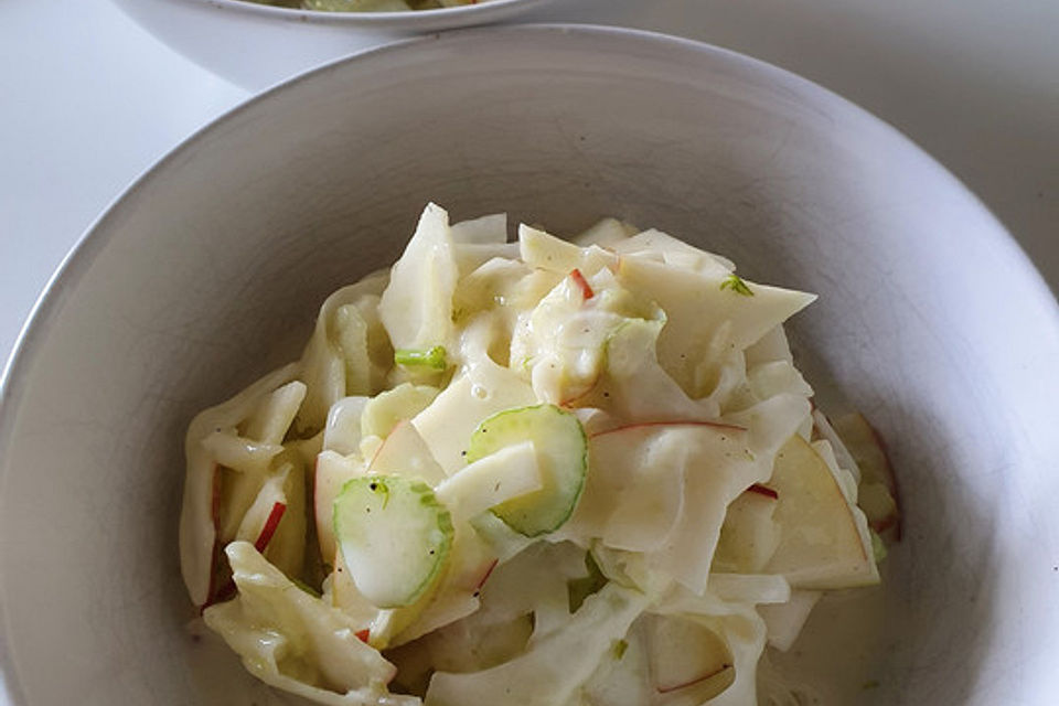 Fenchel - Apfel - Rohkost