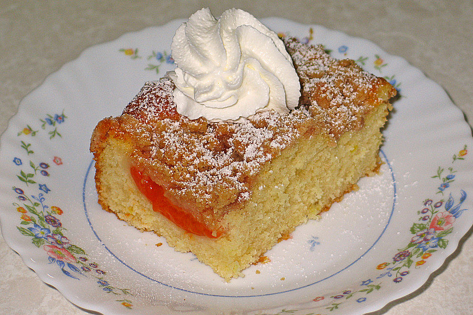 Marillenkuchen mit Streuseln