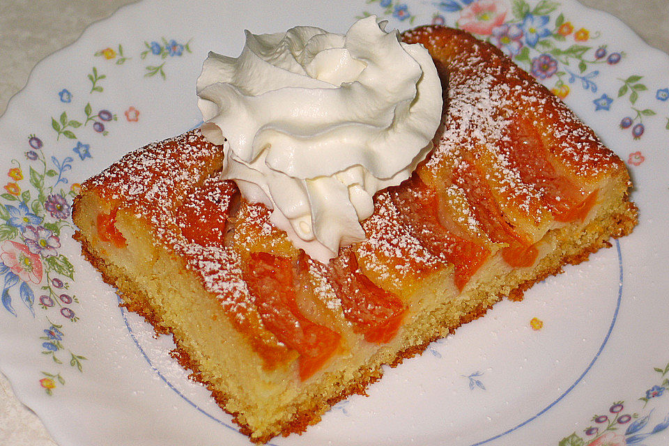 Marillenkuchen mit Guss