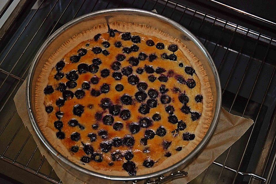 Laktosefreier Blaubeer-Käsekuchen