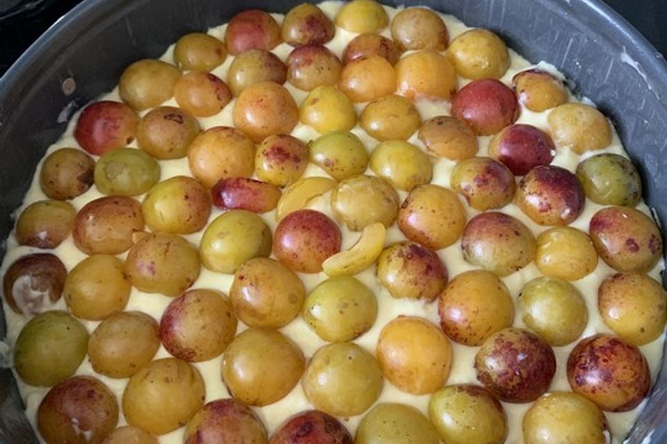 Mirabellenkuchen mit Vanillepudding