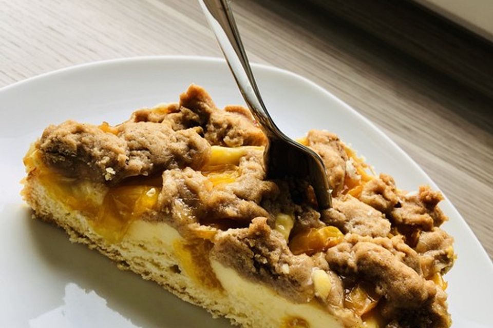 Mirabellenkuchen mit Vanillepudding