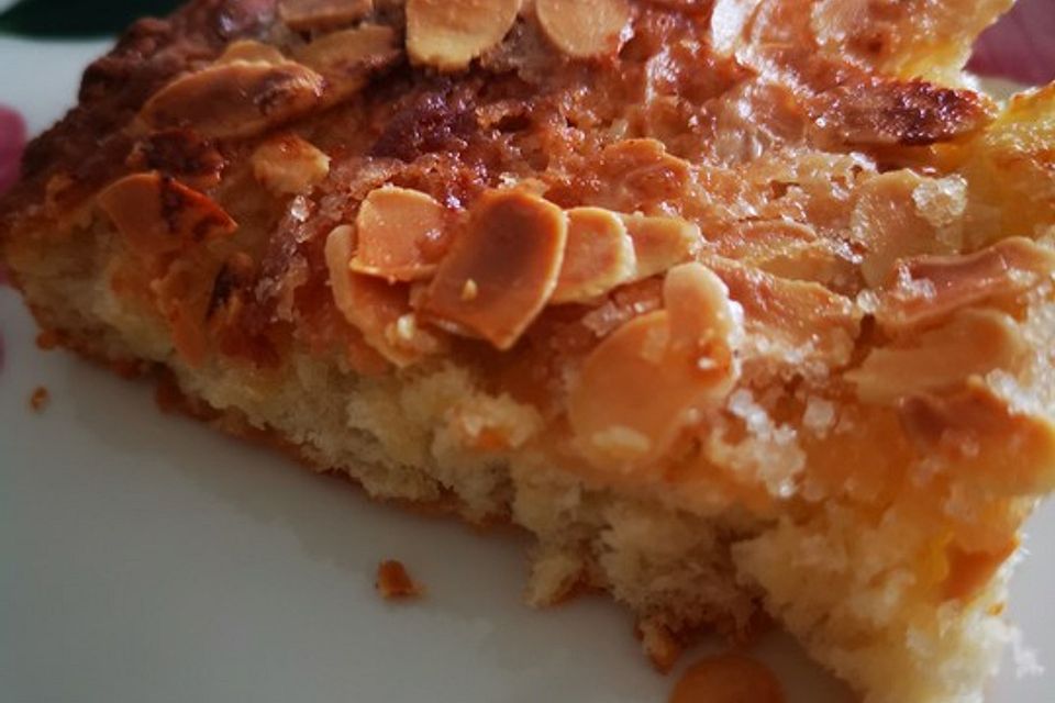 Blechkuchen - Blech-Butterkuchen